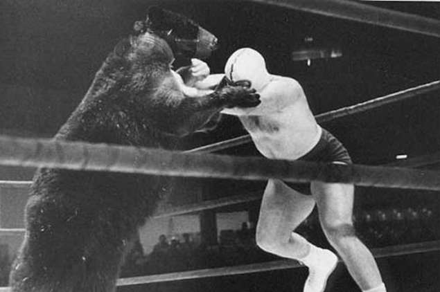 bear-fight-man.jpg